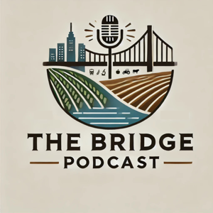 The Bridge