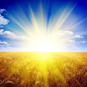 Heaven on Earth Mini Meditations