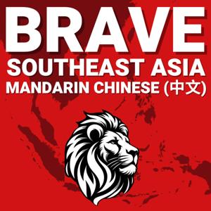 BRAVE (Chinese) 东南亚科技： 新加坡、印度尼西亚、越南、菲律宾、泰国和马来西亚初创企业、创始人和风险投资 VC