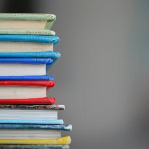 Enfoques del currículo educativo dom