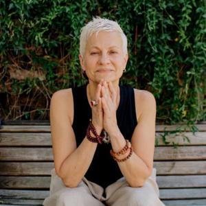The Hormone Lifestyle Zone