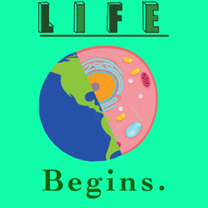 Life Begins