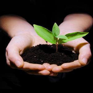 2D Videos - Networking