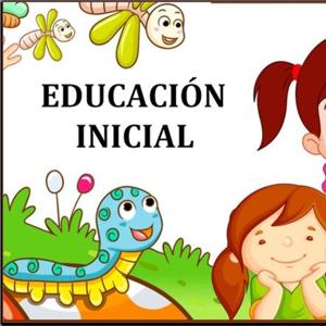 Enfoques del Currículo Dominicano del NI