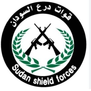 إذاعة جي ام