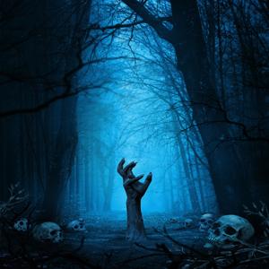 La Nuit des Murmures