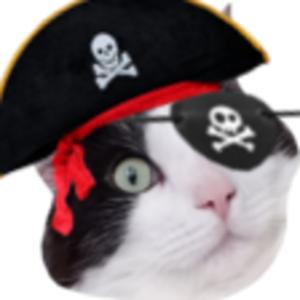 THL Pirate Radio