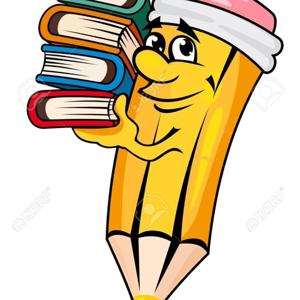 Enfoques del Curriculo Dominicano