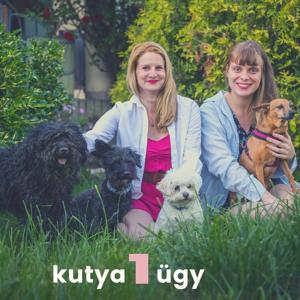 Kutya1ügy