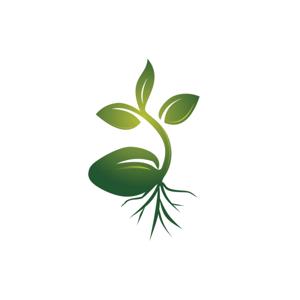 Energeia Ministries