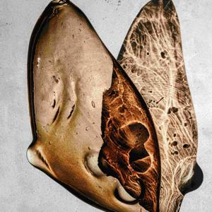 Underworlds - Sites and Struggles of Global Dis/Ordering