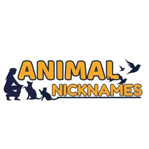 Animal Nicknames's Podcast