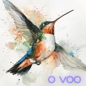 O Voo