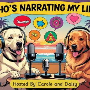 Who's Narrating My Life