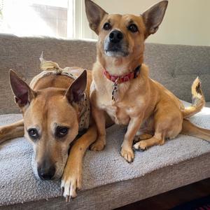 SXM INTERNAL TEST SHOW (DO NOT BOOK)