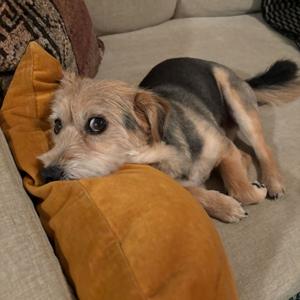 Tom's Podcast About Stuff