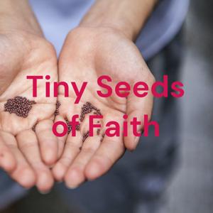 Tiny Seeds of Faith