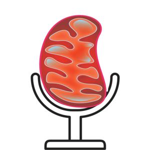 Bioblast