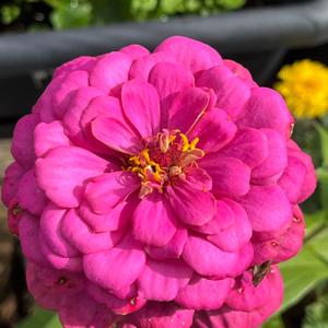 0Km eta Teknologia Zirkularra