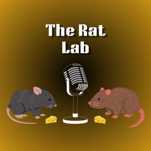 The Rat's Nest