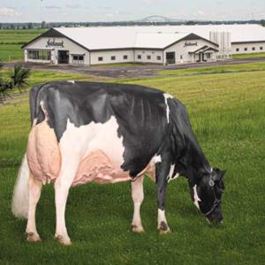 La Revue Holstein Québec