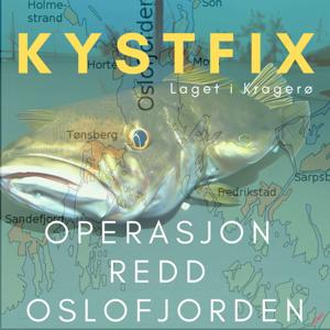 Kystfix