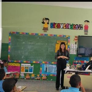 Enfoques del Curriculo R.D.