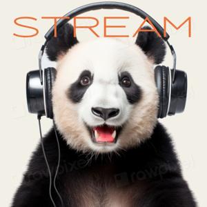 CANAL PODCAST GNOSS ANDRESSG79