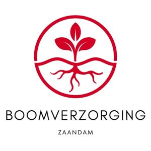 Boomverzorging Zaandam