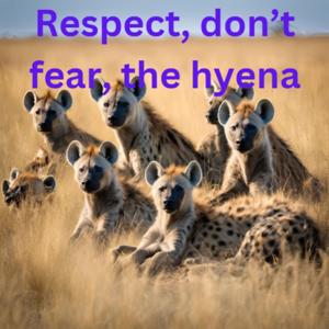 Respect: don't fear the hyena