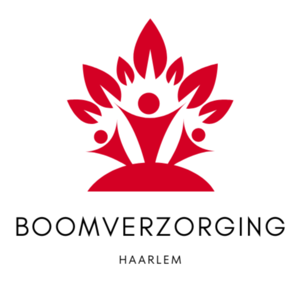 Boomverzorging Haarlem