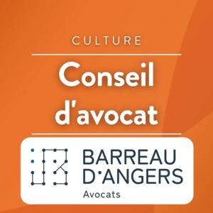 Conseil d'avocat