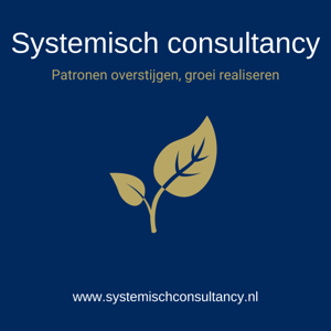 Systemisch consultancy