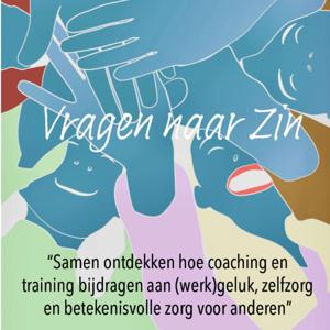 Vragen naar Zin