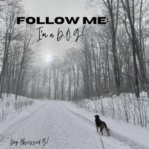 FOLLOW ME: I'm a D.O.G!