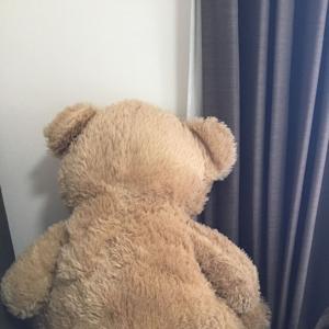 お嬢とアウトローの狭間から地球へ