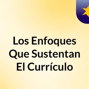 Enfoques que sustentan el currículo domi