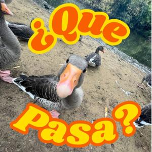 ¿Qué Pasa?