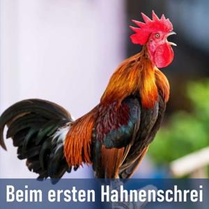 Beim ersten Hahnenschrei