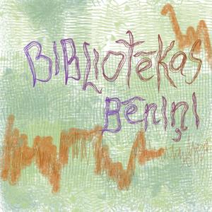 Bibliotēkas bēniņi