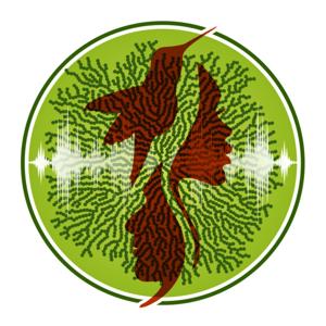Circle of Voices - Immersive audio documentaries & ecological sound art