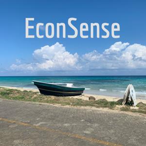 EconSense