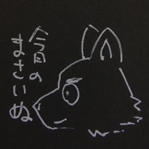 今日のまさいぬ