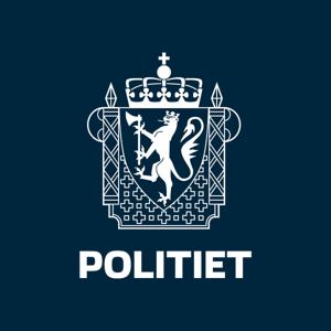 Politidirektørens faglige råd