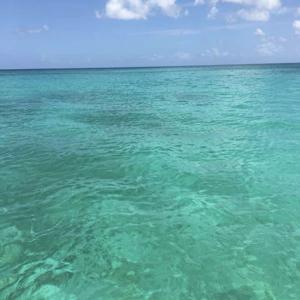 Sylvia's Mind Calming Podcast