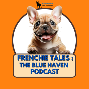 Frenchie Tales: The Blue Haven Podcast