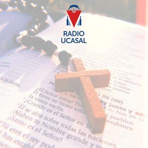 Caminando juntos hacia una teología viva.