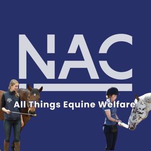 All Things Equine Welfare