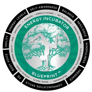 Your Route to Wellbeing