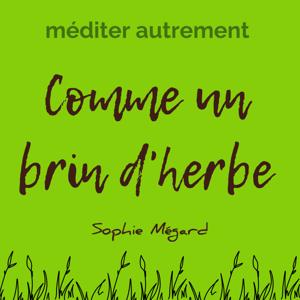 COMME UN BRIN D'HERBE Méditer autrement